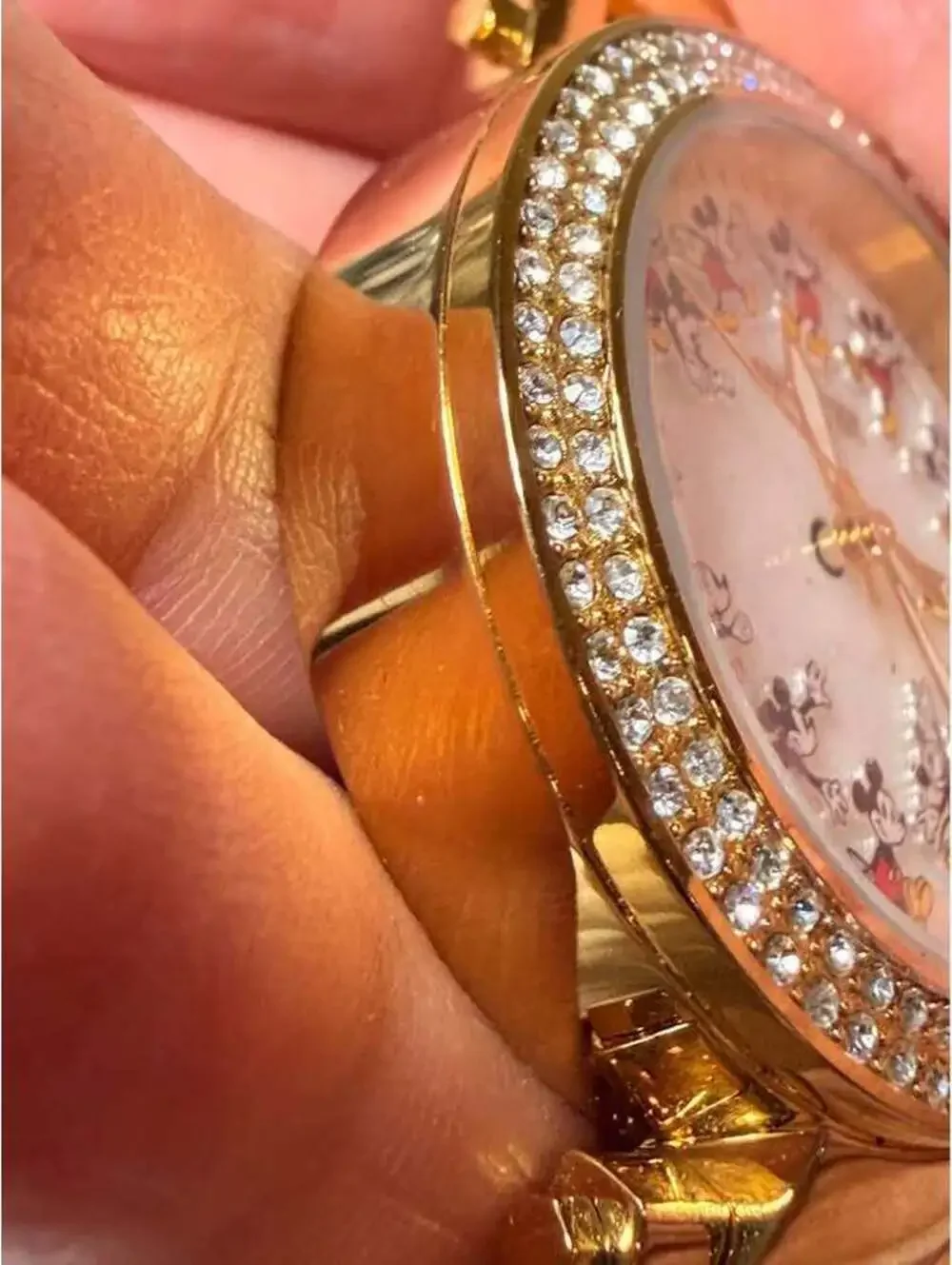Disney stunning invicta